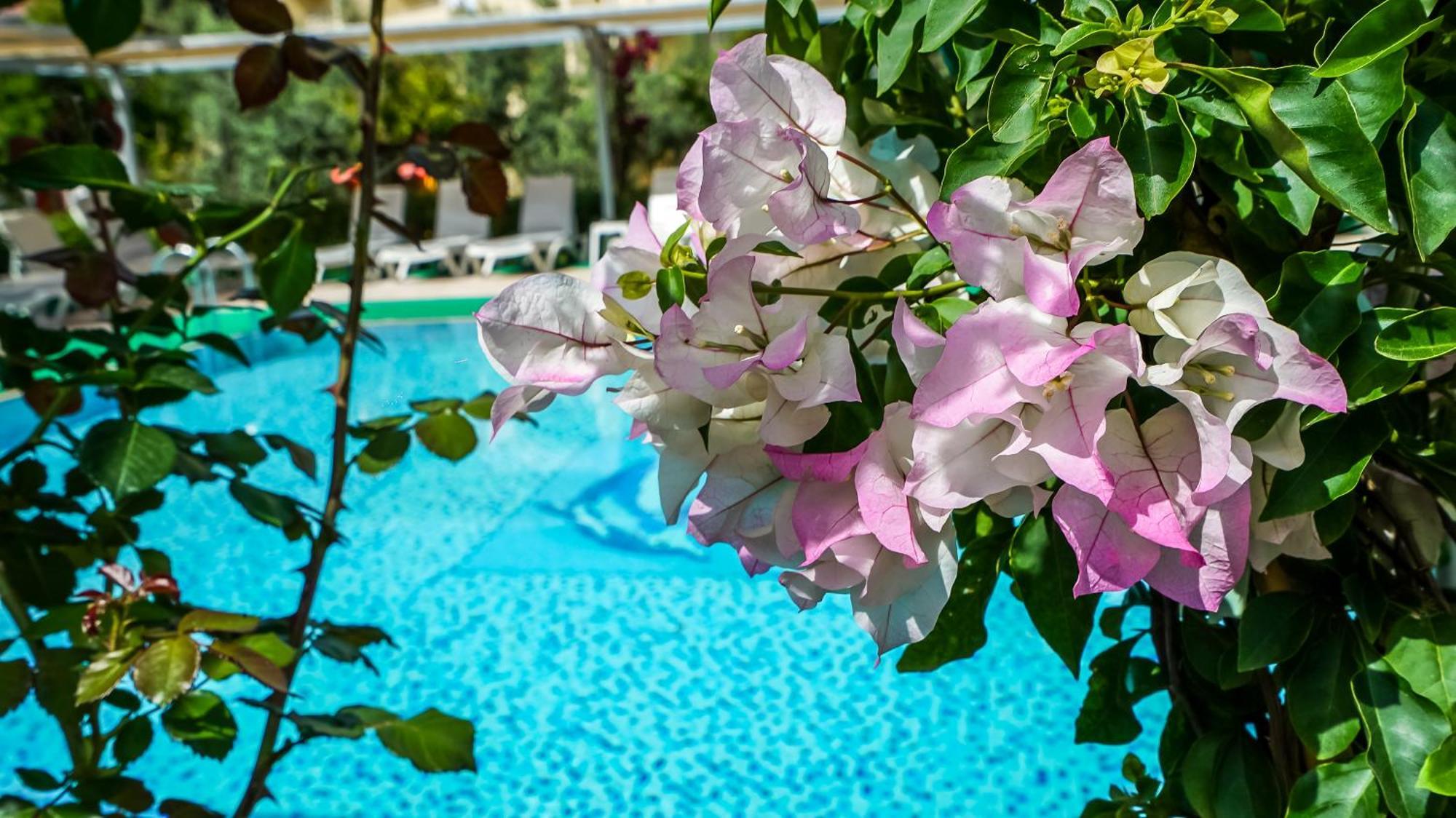Catty Cats Garden Hotel Сіде Екстер'єр фото