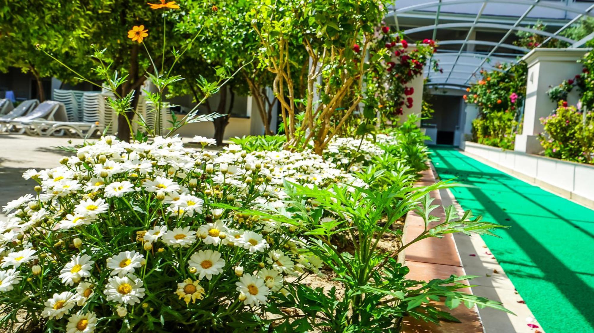 Catty Cats Garden Hotel Сіде Екстер'єр фото